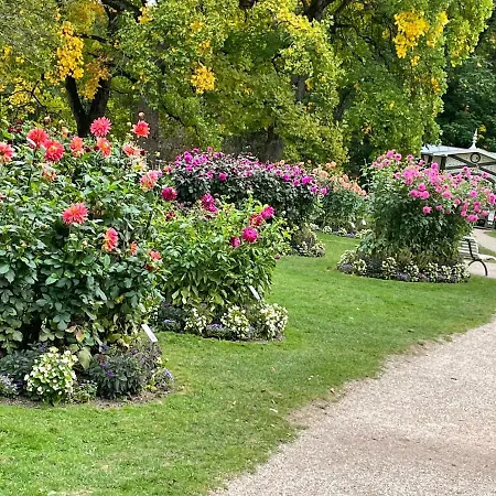 Black Forest Appartamento Baden-Baden