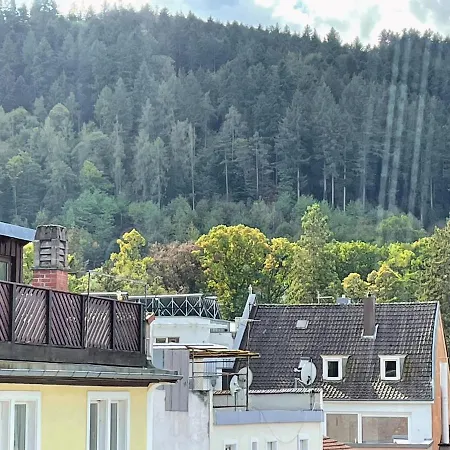 Black Forest Διαμέρισμα *